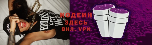 шишки Пестово