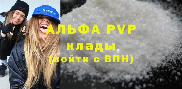 a pvp Пересвет