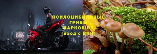 молекула духа Покров